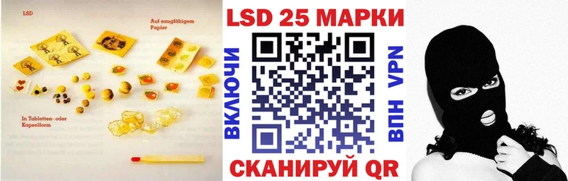 дарнет шоп  Дзержинск  Лсд 25 экстази кислота 