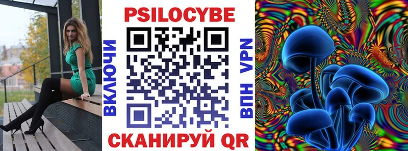 KRAKEN ссылка  Дзержинск  Галлюциногенные грибы Magic Shrooms  купить наркотик 