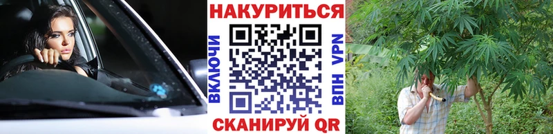 Бошки марихуана план Дзержинск